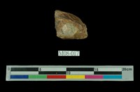 藏品(白鎢礦(重石) )的圖片